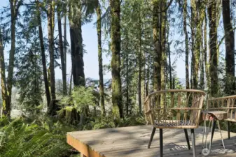 Serene wooded setting