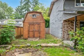 Side yard with shed