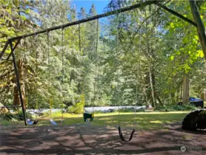 Swingset at the river