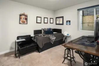 Downstairs bedroom