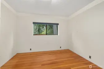Lower level bedroom