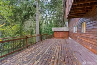 Deck leading to storage shed