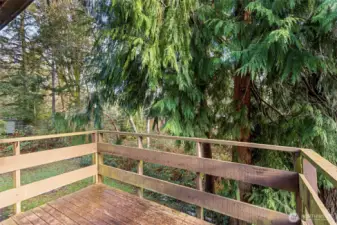 Upper main floor deck off of the dining room
