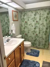 Guest bathroom