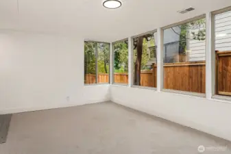 Large windows in basement rec room