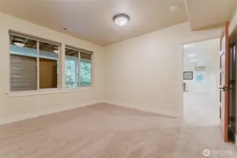 2nd of two lower level bedrooms