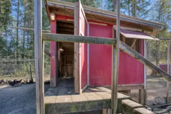 Chicken Coop