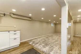 Downstairs flex room.
