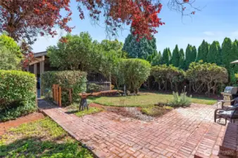 Back yard patio