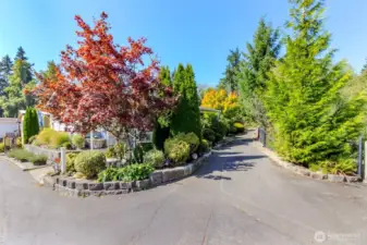 Privacy with the Trees from the Walking Path Behind the Home to the Common Space