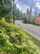 View looking to the left