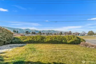 HUGE view over arborvitae hedge over Kenroy playyard for expansive views of city, mountains and Mission Ridge