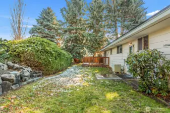 More back yard with rock gardens and big sade trees