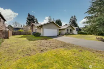 Crows decided to feast on that section of the grass. Its usually green.
