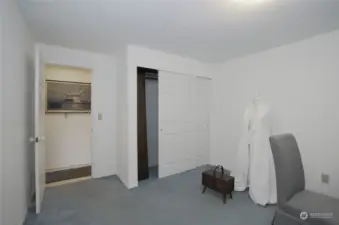 The lower level flex room, fully equipped with a closet.