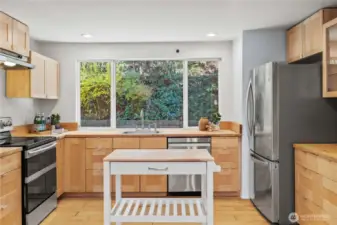 Kitchen Boast Large Footprint