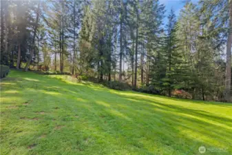 Tons of Space, Trails and More