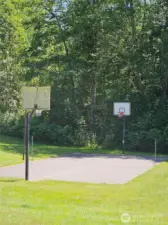 Basketball cout