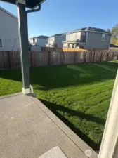 Backyard from covered porch