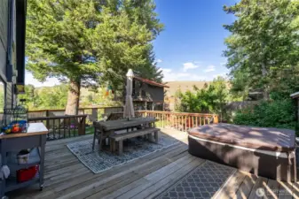Inviting wood deck and hot tub overlooks lush lawn with the coolest tree house!