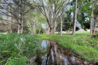 Matriotti Creek on the West Property Line