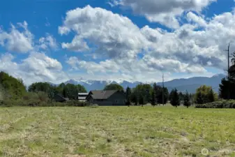 View to the South from the middle of the lot