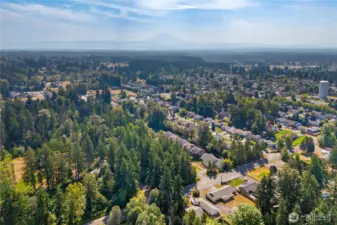 Expansive aerial view of the neighborhood with Mt. Rainier in the background, highlighting the community setting surrounded by lush evergreens and Pacific Northwest scenery.