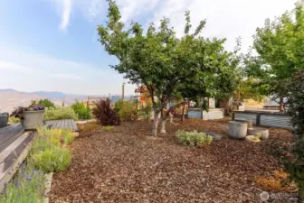 North Garden has raised beds, fruit trees and Northern deck with Spa.