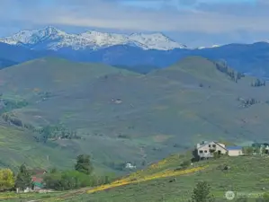 Spring beauty takes your breath-away with snowy mountain peaks and the carpet of Balsamroot  Wildflowers on this acreage is pure magic!