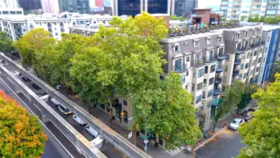 Building View