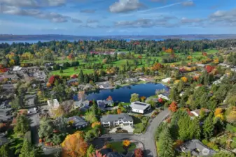 Your lovely neighborhood.