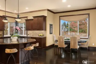 Chef's kitchen and kitchen nook