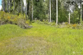 Nature walking trail goes to the beach.