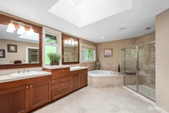 Luxurous Primary bathroom with beautiful tile, skylight and windows!