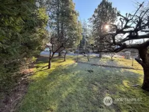 Flat portion of lot is currently in fruit trees!