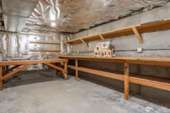 Huge storage and workshop space, accessed from both the extra finished room (bonus) and from lower level entry room.