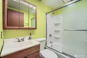 Main floor bathroom, enjoy the tub.