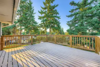 Enjoy the updated entertainment size back deck.