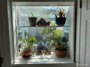 Picturesque Window