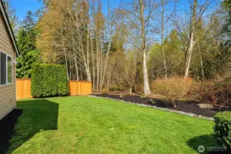 Back Yard with Greenbelt beyond