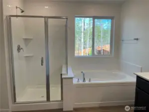 Primary bath and shower