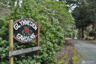 Welcome to Glynneden Gardens once a Rhododendron Nursey now a quiet sanctuary tucked under the evergreen trees.