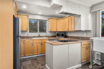 Brand-new stainless refrigerator & dishwasher. Plenty of cabinets.