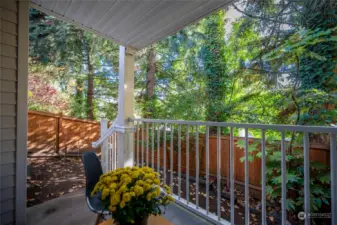 Inviting private fenced, backyard.