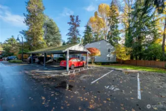 Plenty of guest parking in any of the unmarked parking stalls.