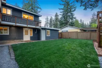 Backyard