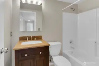 Lower level full bath