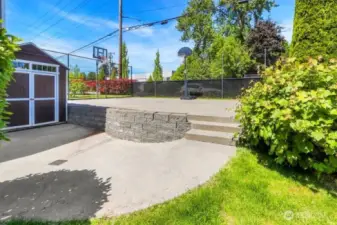 Sport Court and Concord Grapes