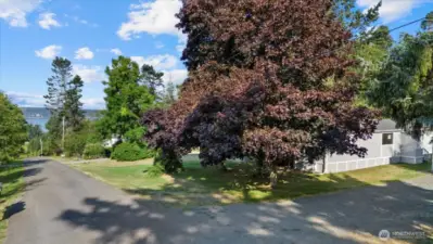 Minutes to Camano Island State Park w/ it's wonderful trails, boat launch & beach. Welcome Home!