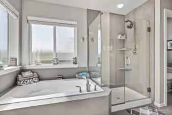 Soaking tub & custom shower